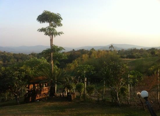 view
