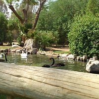 Kuwait Zoo