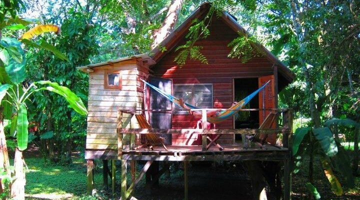 Cabin # 6
