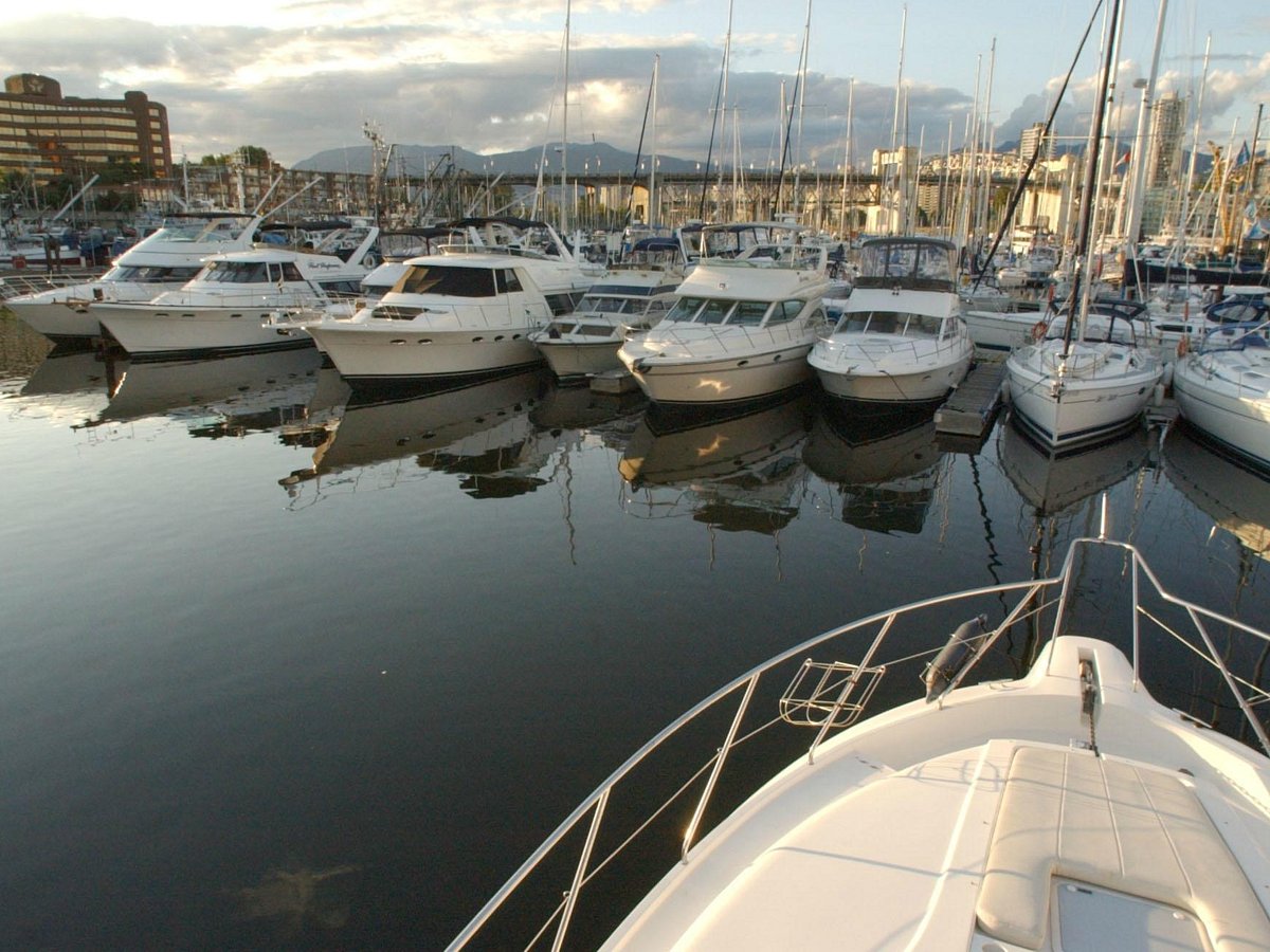 blue pacific yacht charters