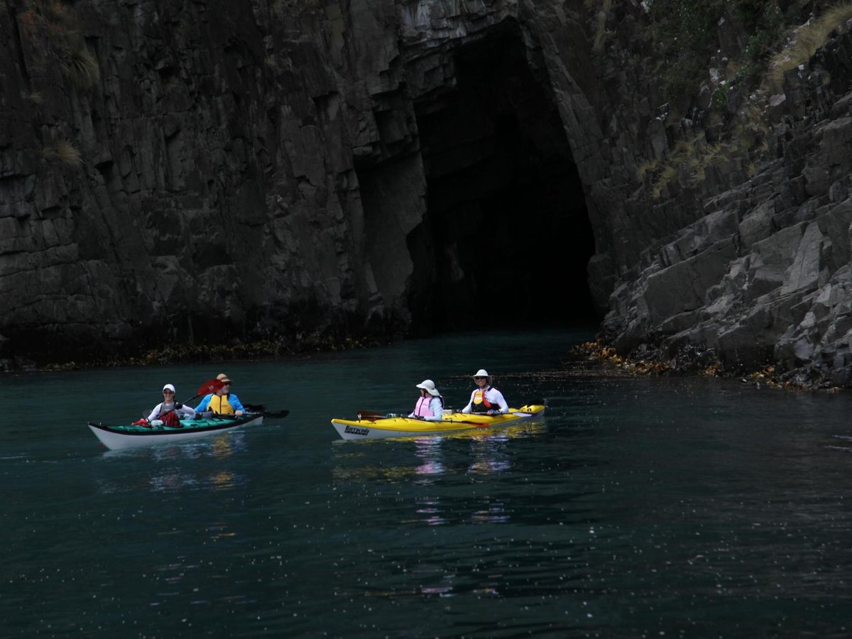 Bruny Wildlife Adventure - All You Need to Know BEFORE You Go (2024)