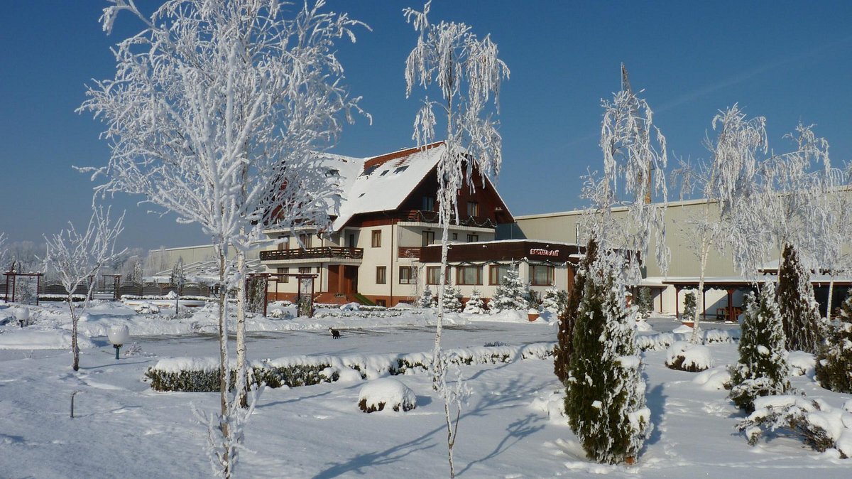Hotel GARDEN Club, hotel in Brasov