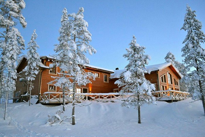 PINETREE LODGE Bewertungen Fotos Preisvergleich Kangos Schweden pinetree-lodge-bewertungen-fotos-preisvergleich-kangos-schweden