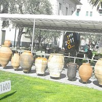 Museo dell'Olivo