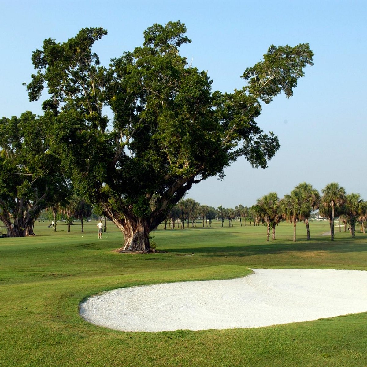 Palmetto Golf Course (Miami) ATUALIZADO 2022 O que saber antes de ir