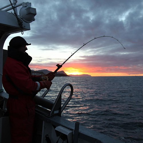 I migliori 10 Charter e tour di pesca a Fiordi Occidentali (2024)