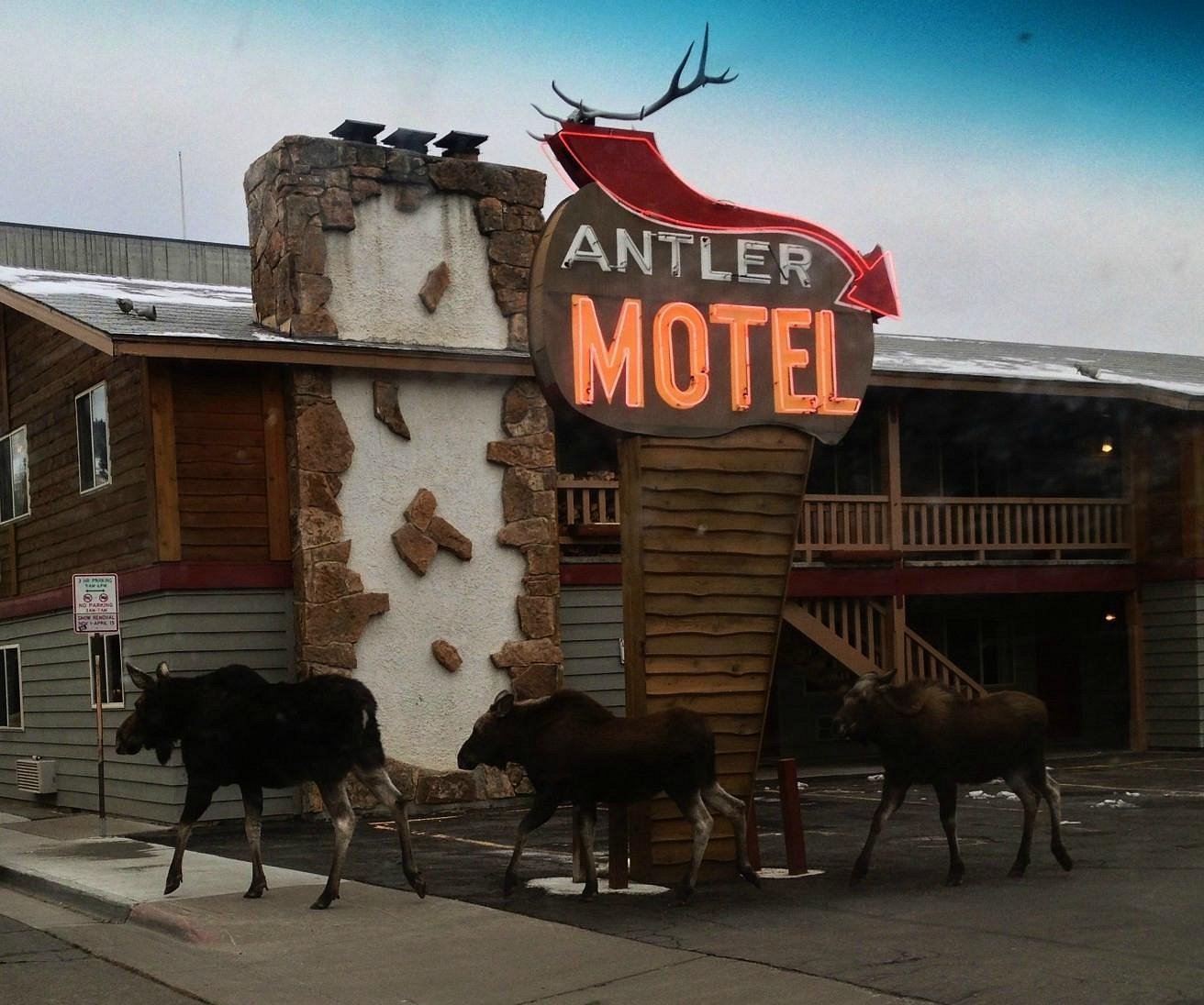 ANTLER INN $90 ($̶1̶2̶4̶) - Updated 2022 Prices & Motel Reviews - Jackson Hole, WY