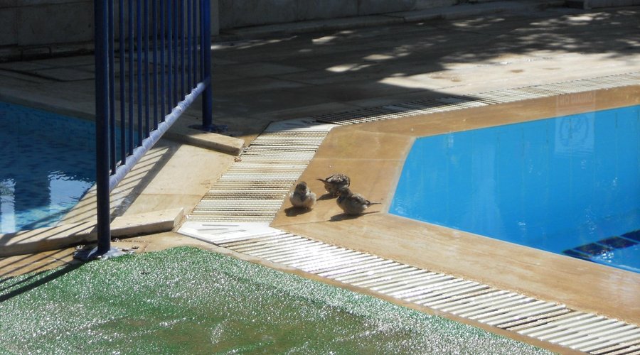 doğayla birlikte tatil imkanı