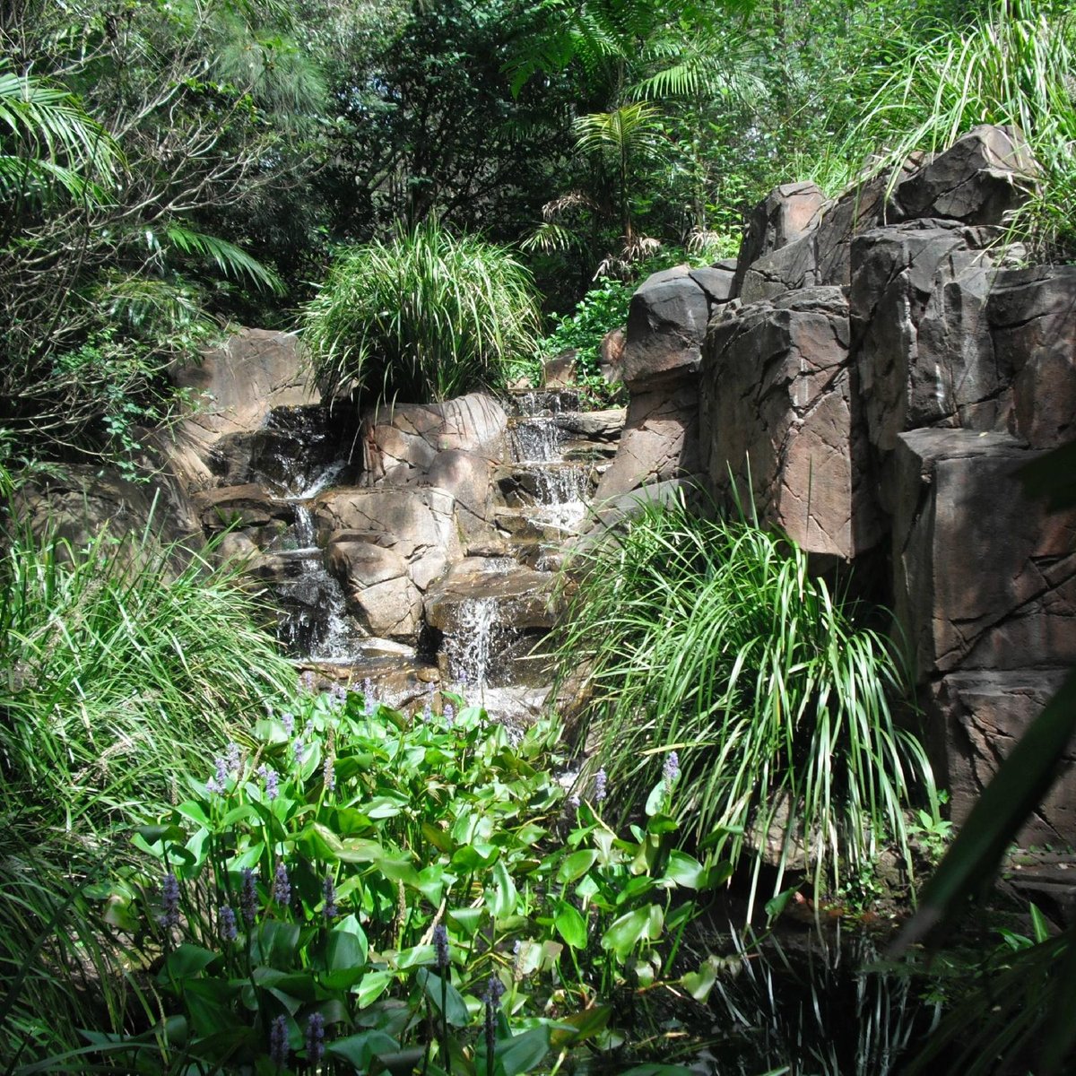 Tamborine Mountain Glow Worm Caves: All You Need to Know