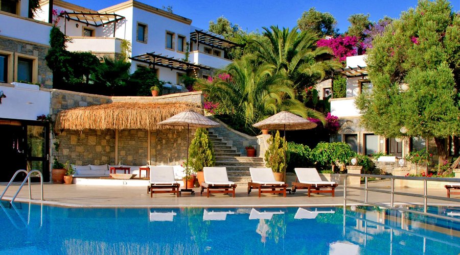 View of the hotel