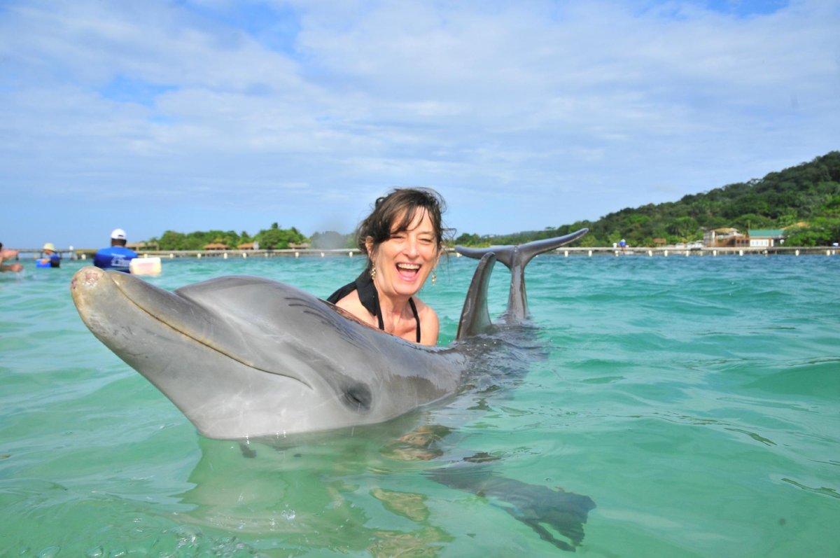 DOLPHIN ENCOUNTER (Roatán) - Qué SABER antes de ir (2024)