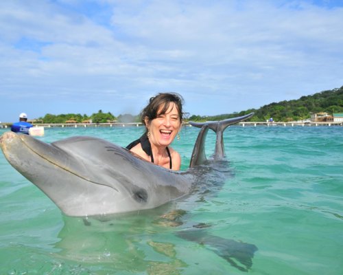 14 Mejores lugares para nadar con delfines en el mundo