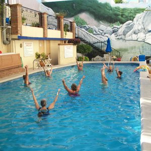                   The Pool
                