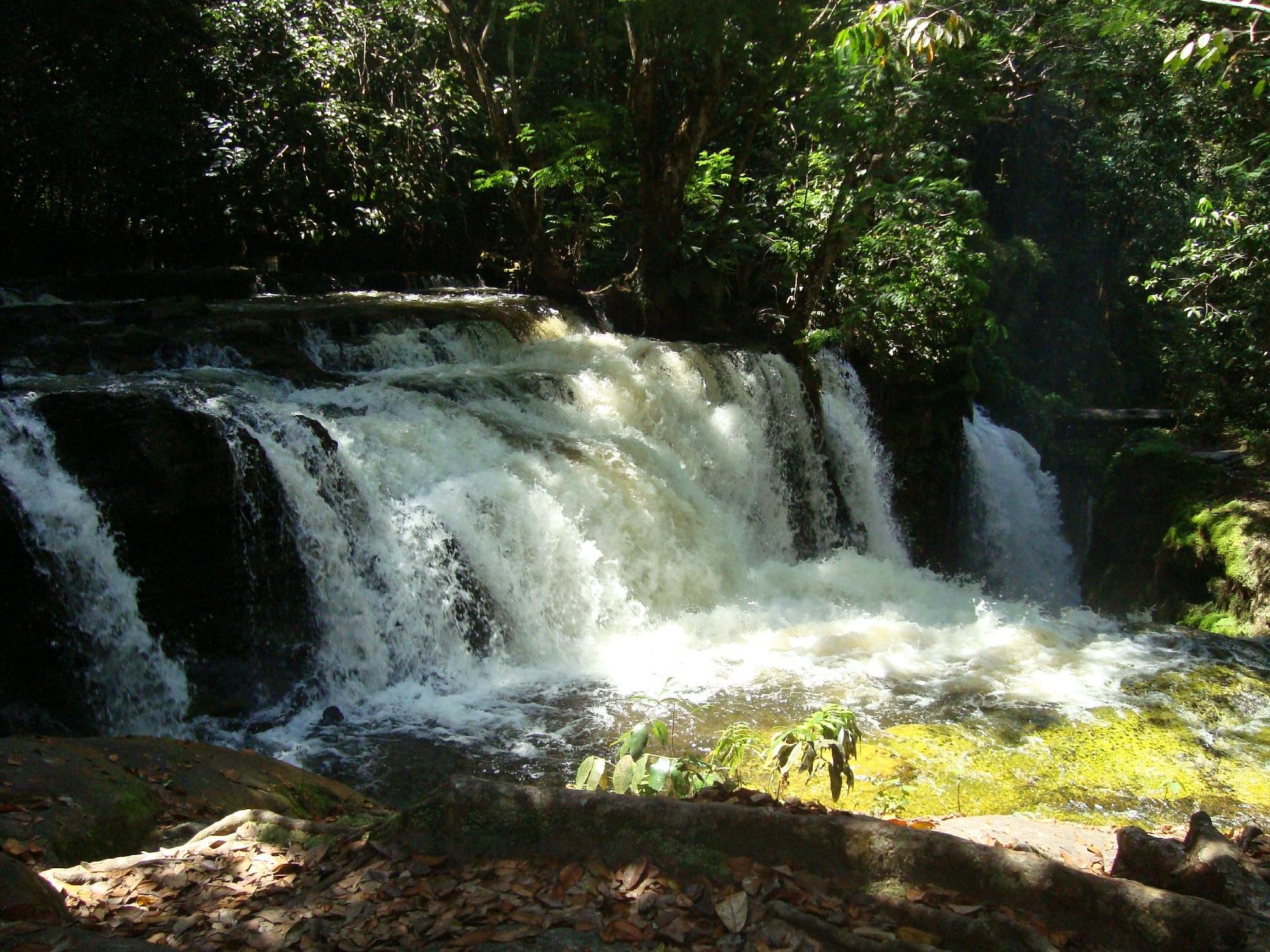 AMAZON BRASIL JUNGLE TOURS (Manaus) All You Need to Know BEFORE You Go