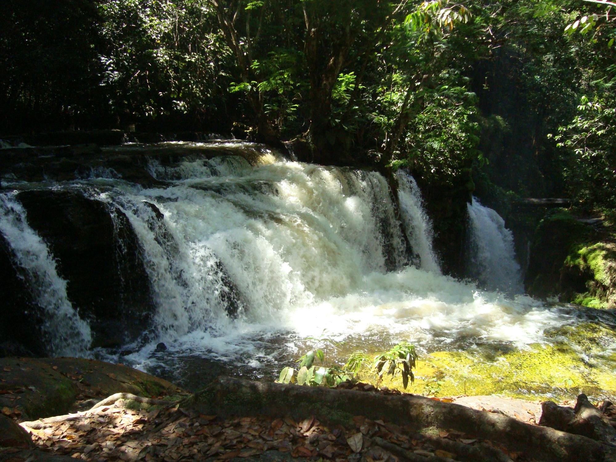 AMAZON BRASIL JUNGLE TOURS (Manaus) All You Need to Know BEFORE You Go