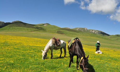                   langmusi, wind horse trekking
                