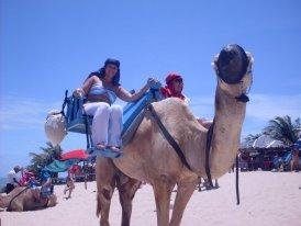 Passeios de Dromedários (Natal) - ATUALIZADO 2023 O que saber antes de ir -  Sobre o que as pessoas estão falando - Tripadvisor