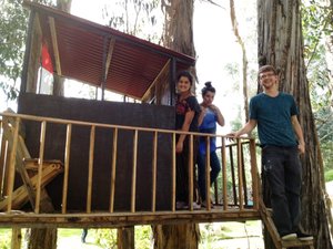 Áreas familiares y de juego