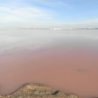 Salina Rosada de Torrevieja