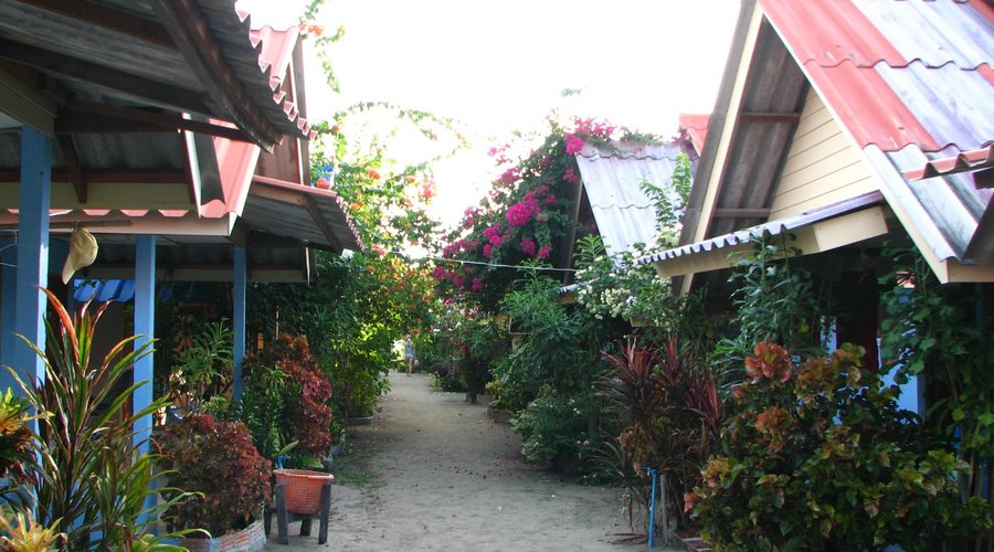                   Garden Path

                