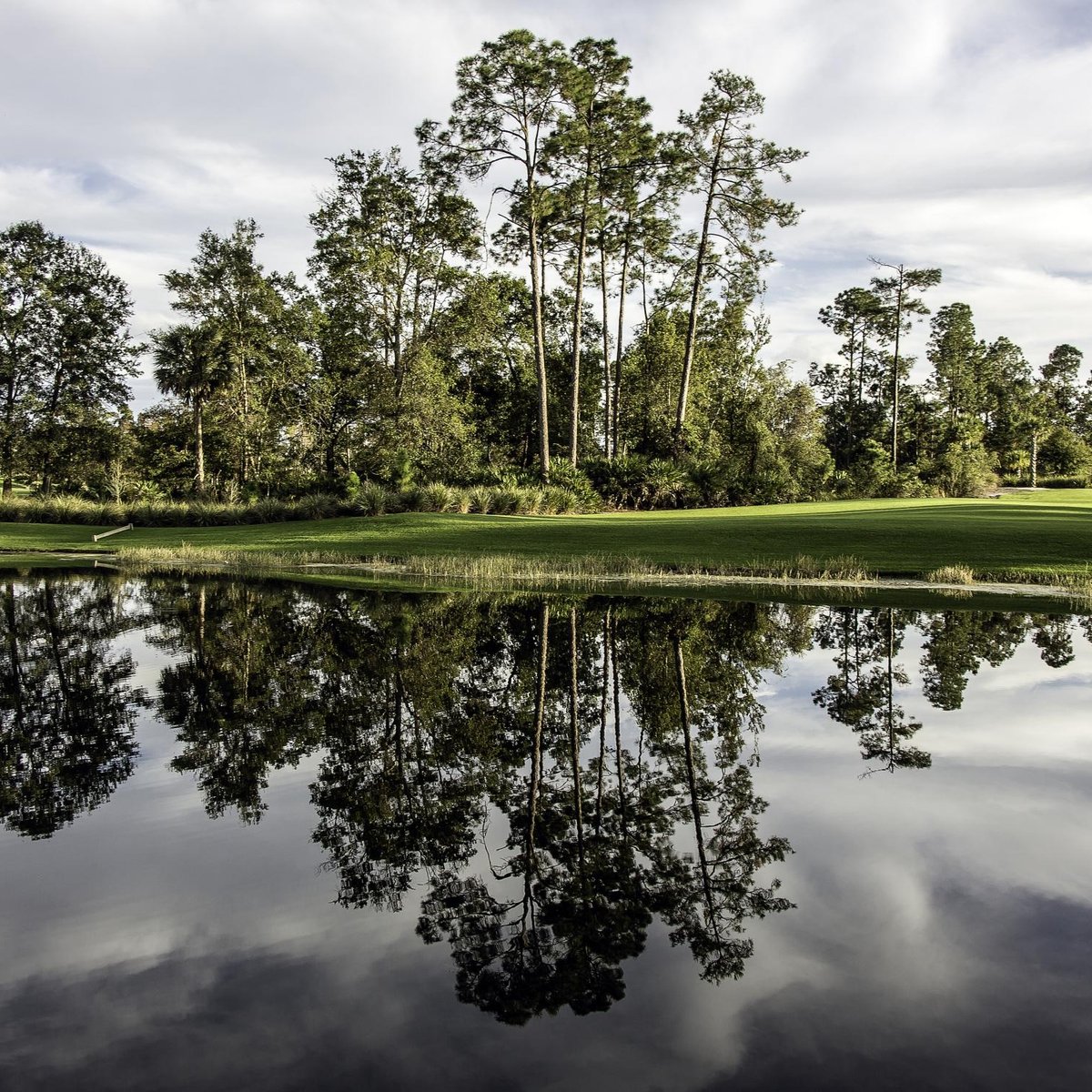 Waldorf Astoria Golf Club (Orlando) All You Need to Know BEFORE You Go