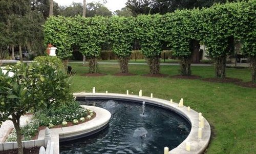 gardens
