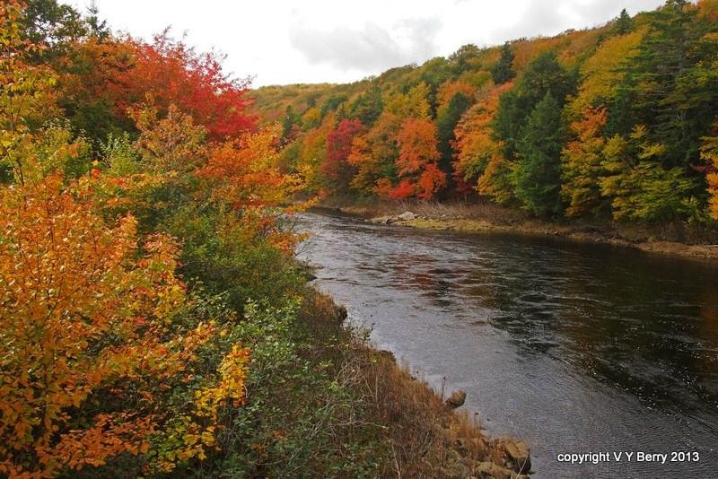 St. Mary's River Lodge - B&b Reviews (sherbrooke, Nova Scotia)