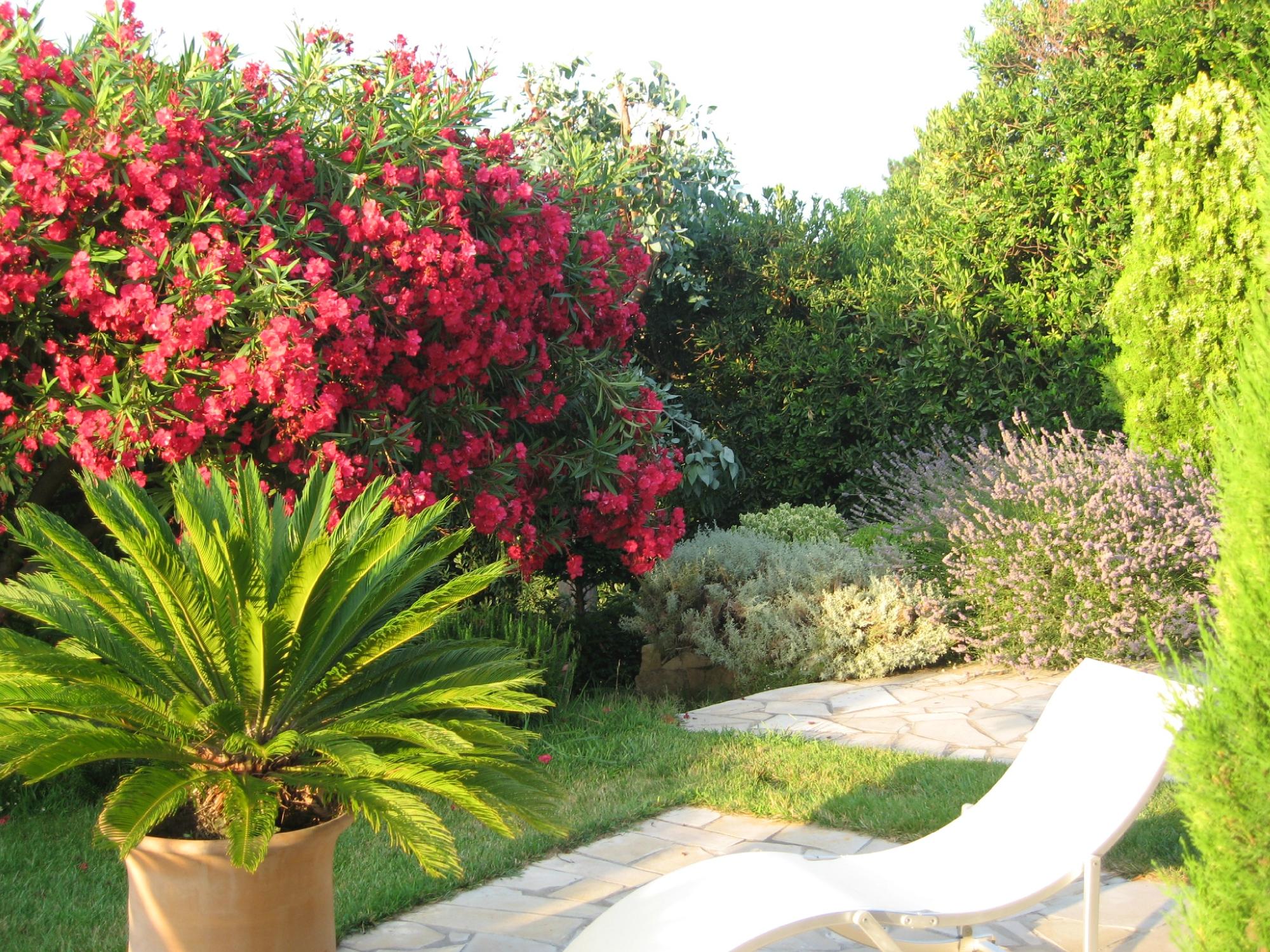 Hotel photo 16 of Mas Samarcande.