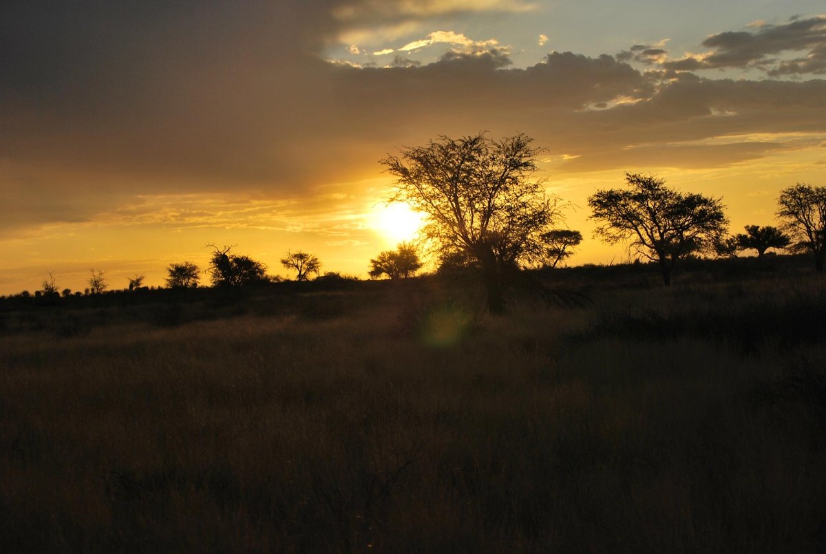 KALAHARI RED DUNES LODGE - Prices & Reviews (Namibia/Mariental)