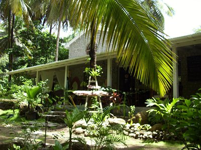 Dominica 2023: Best Places to Visit - Tripadvisor