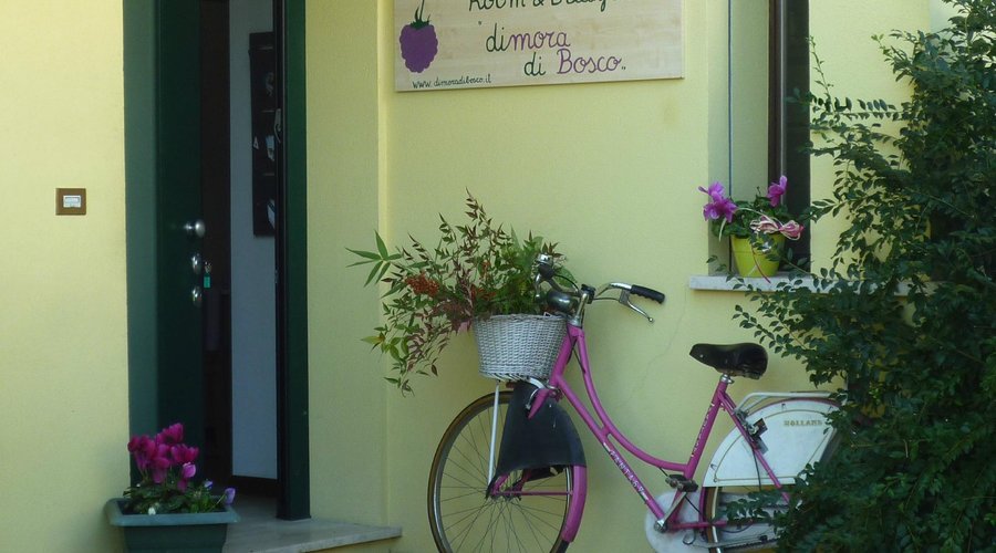welcome in "dimora di Bosco"