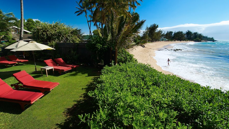 Ocean Front Beach Lounge