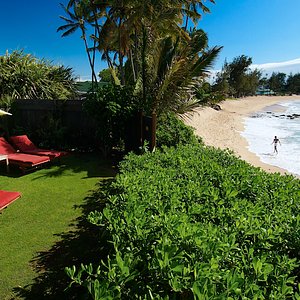 Paia Inn in Maui, image may contain: Neighborhood, Hotel, Villa, Street