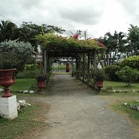 My favorite arbor!