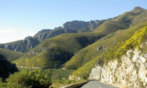 scenic drive through the Tradouwpas
