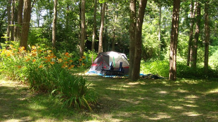 Escape to Sippewissett: Your Cape Cod Campground Oasis