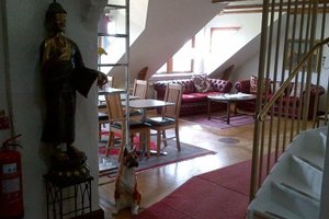 Khu vực gia đình và Khu vực vui chơi