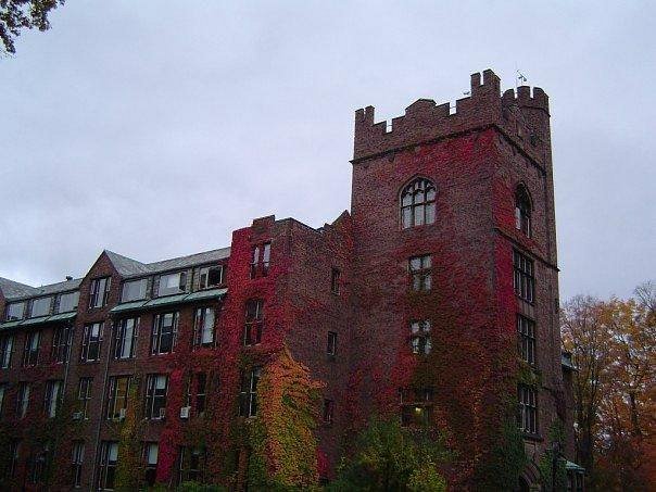 Mount Holyoke College image