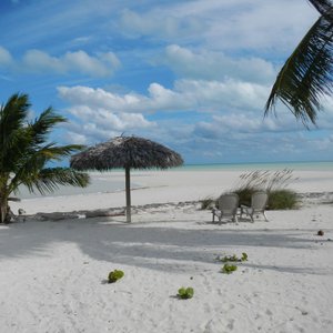                   The Beach!
                