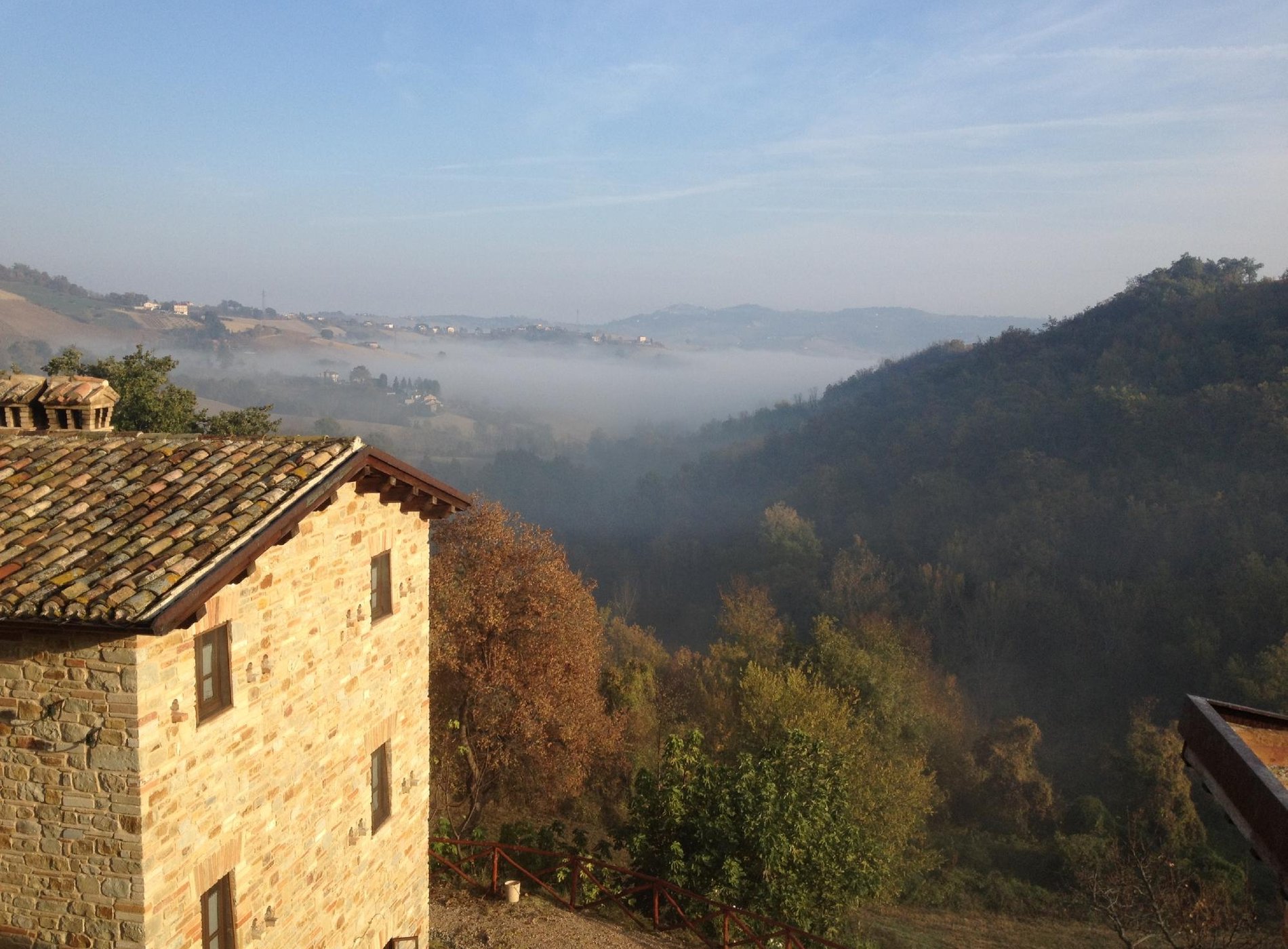 Agriturismo Ramusè | Truffle Hunting in Italy image