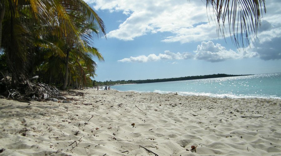                                     Ilha Catalina
                
                