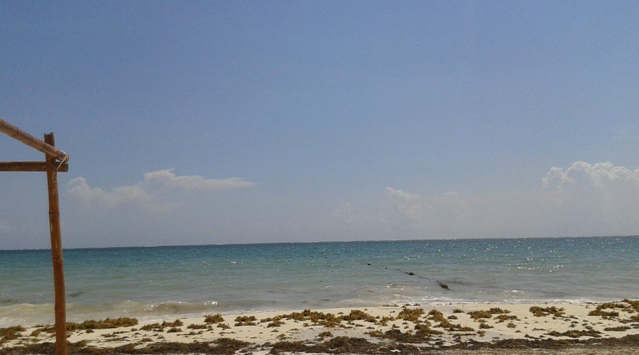 cerca de la playa