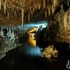 Things To Do in Barbados Island Adventure: Harrison's Cave and Monkey Feeding, Restaurants in Barbados Island Adventure: Harrison's Cave and Monkey Feeding