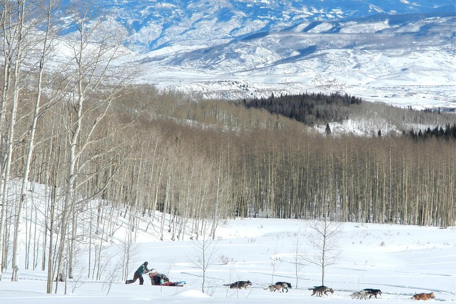 dog sled tours steamboat springs