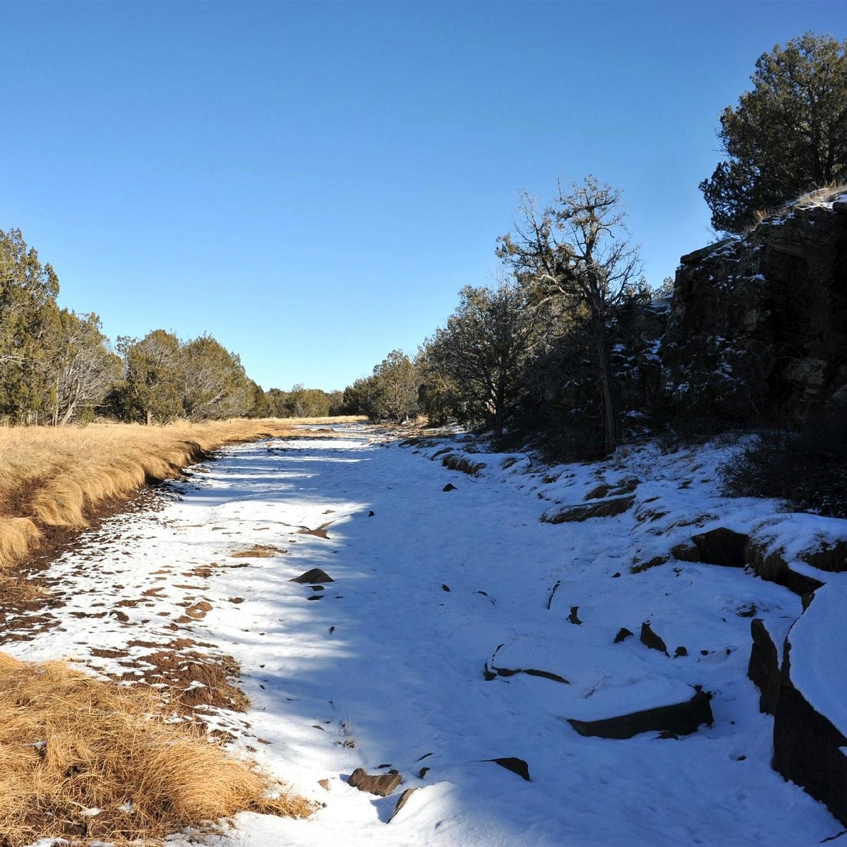 Beale Wagon Road Historic Trail (Williams) - All You Need to Know ...