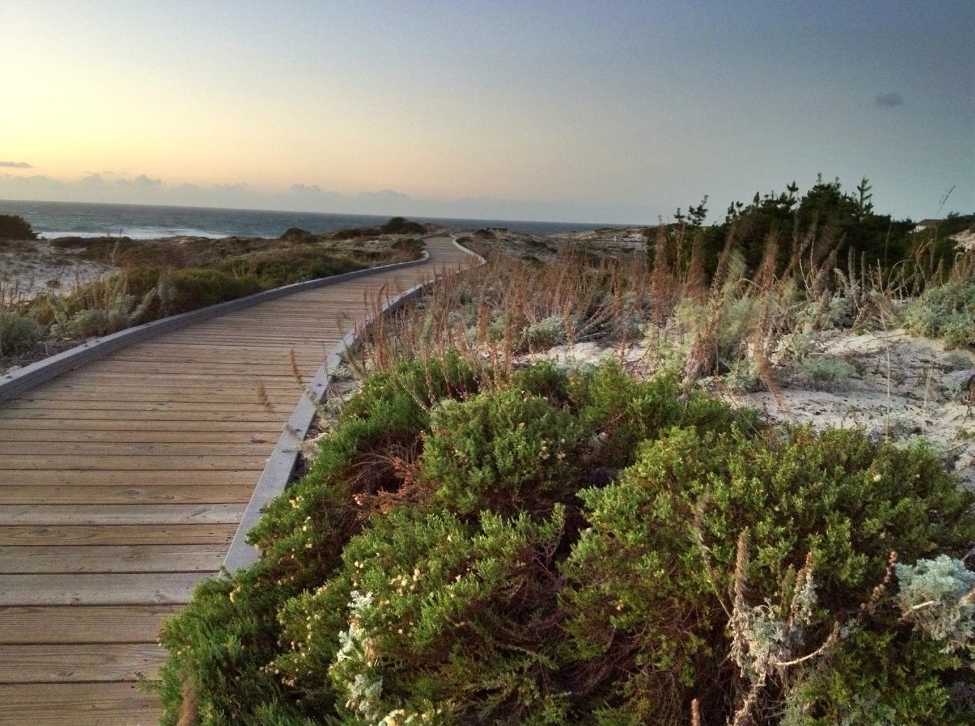 Asilomar Hotel & Conference Grounds Beach: Pictures & Reviews - Tripadvisor