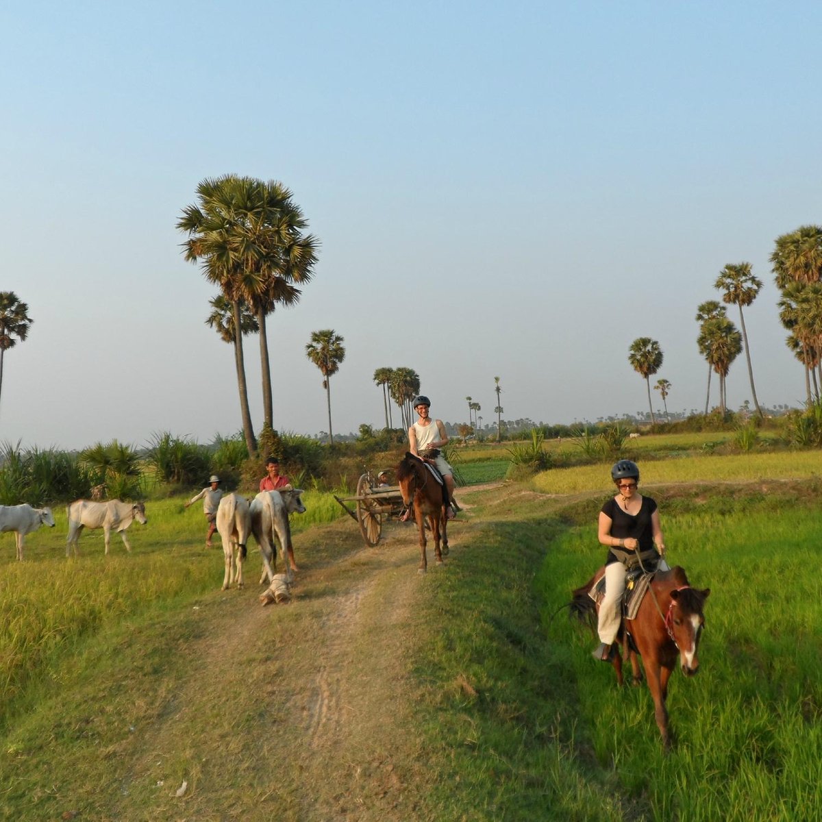 happy horse riding