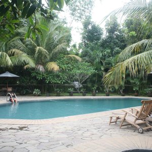                   Kolam Renang
                