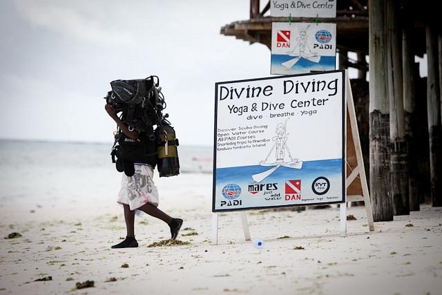 Divine Diving, Yoga & Dive Center - All You Need to Know BEFORE You Go  (2024)