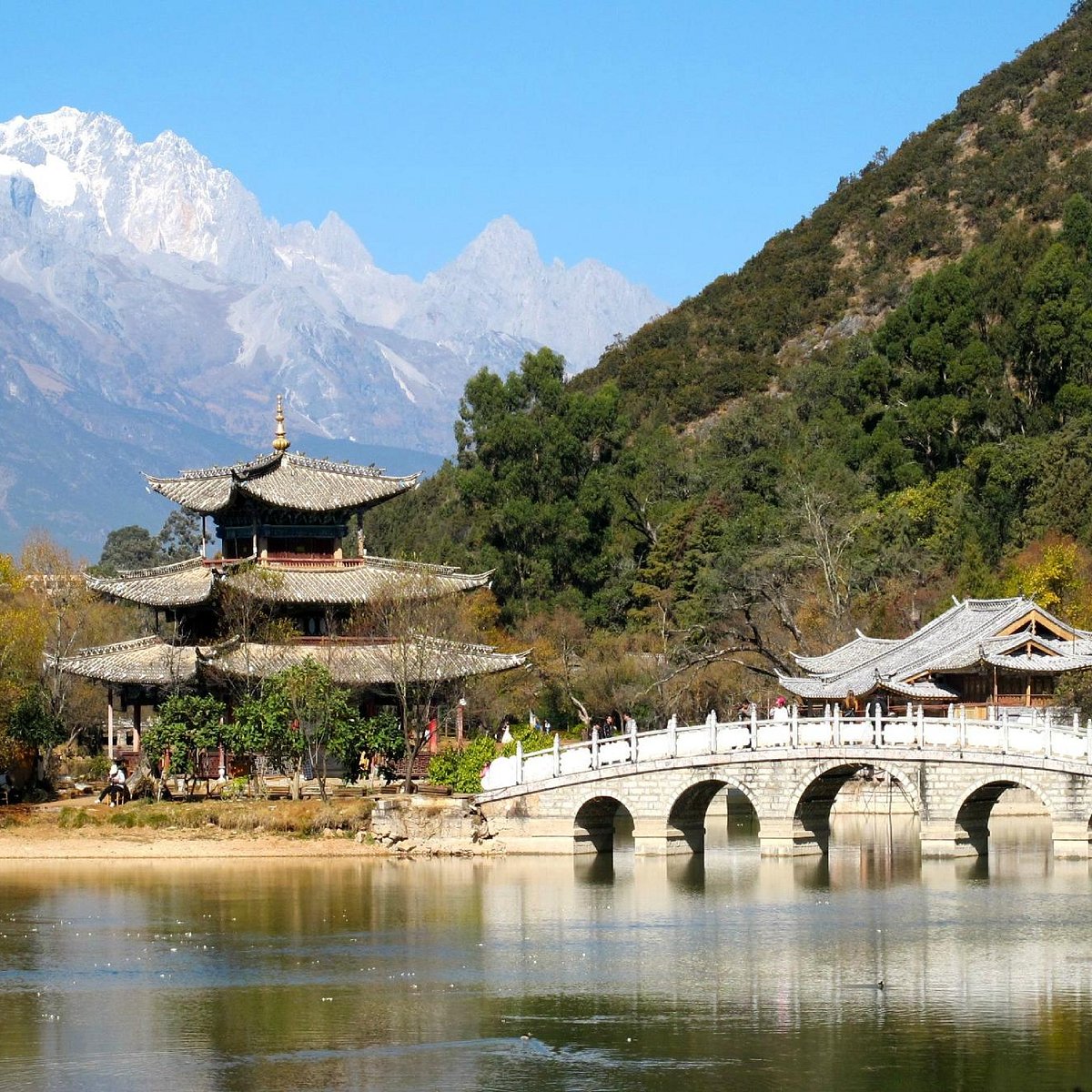 Black Dragon Pond Park (Lijiang) - All You Need to Know BEFORE You Go